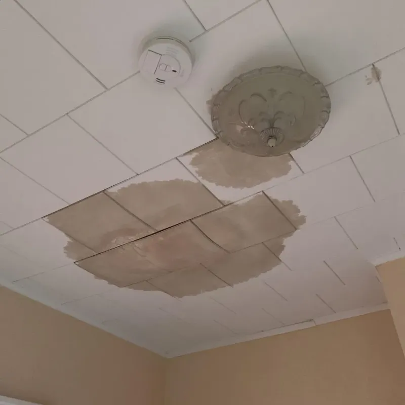 Ceiling Water Damage Repair in Tippah County, MS