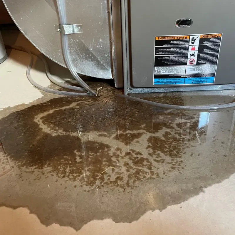 Pipe Burst and Leak Restoration in Tippah County, MS