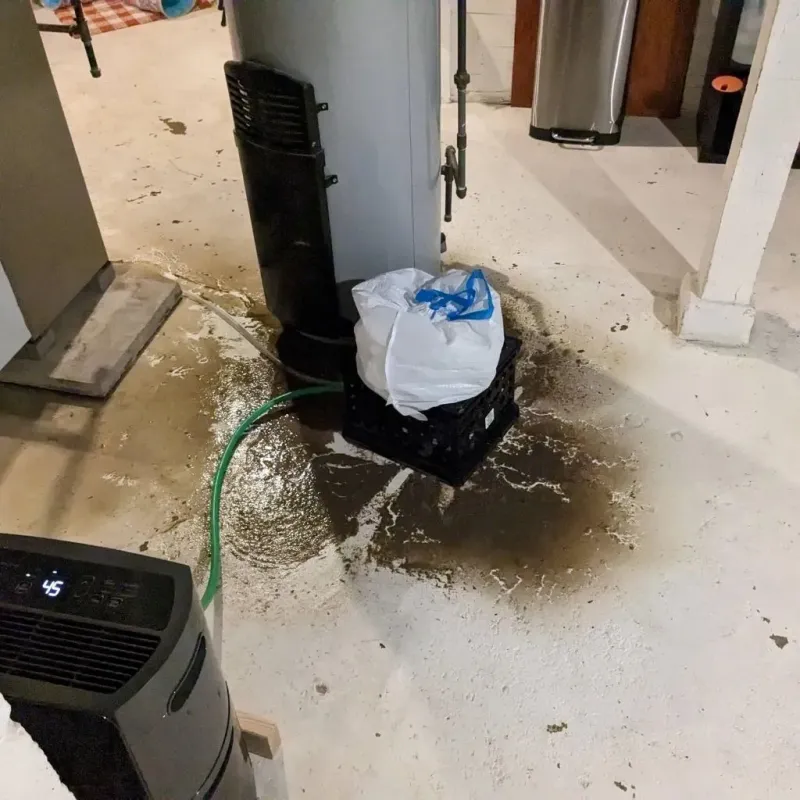 Sewage Backup Cleanup Service in Tippah County, MS